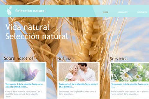 SI Alojamiento Web en United States 